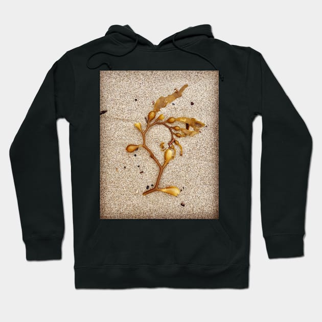 Beach Art by Kelp Hoodie by ephotocard